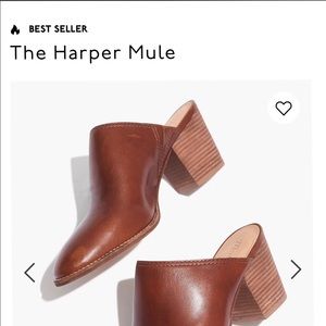 The Harper Mule in English Saddle